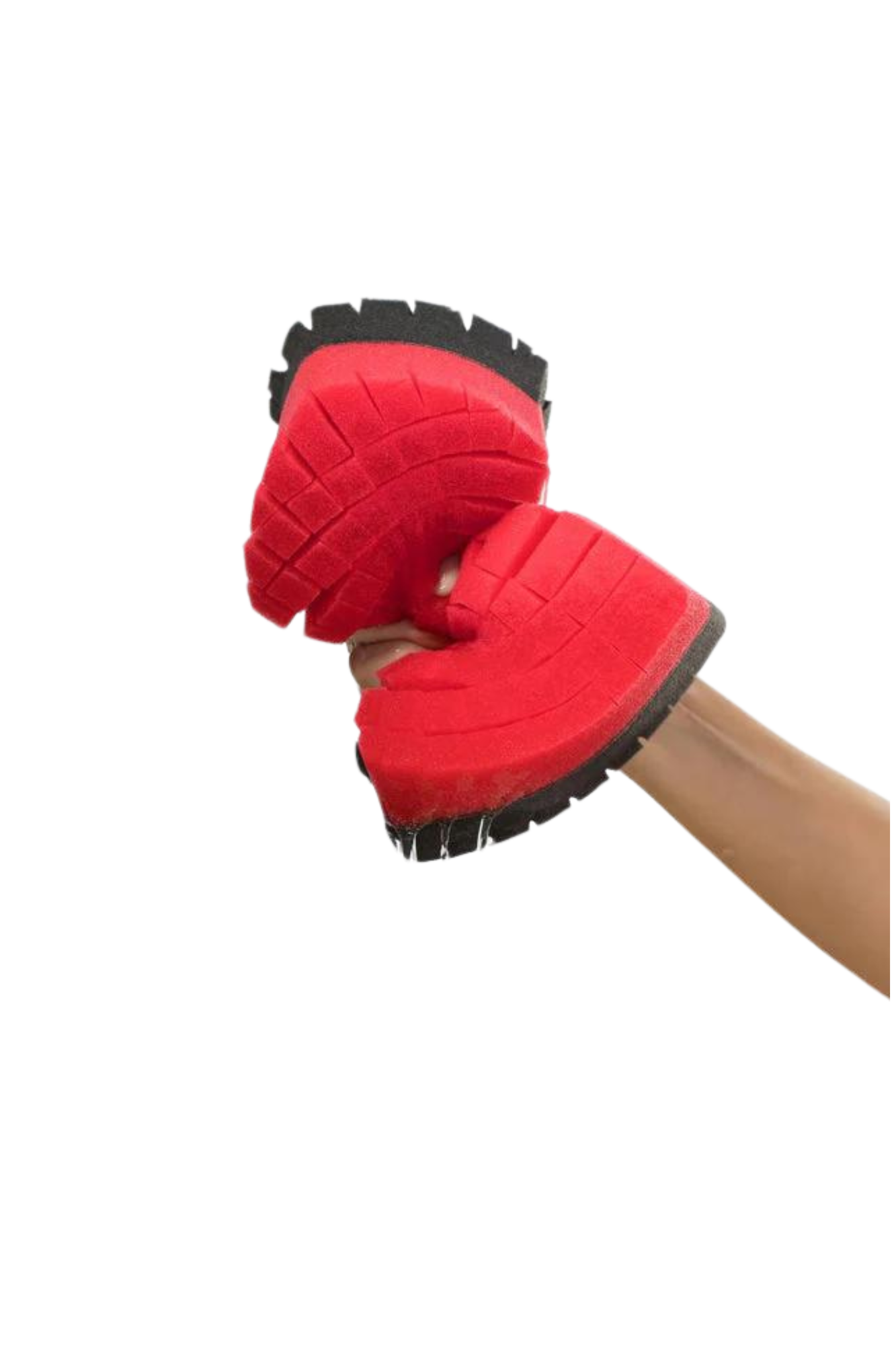 Legacy Sponge